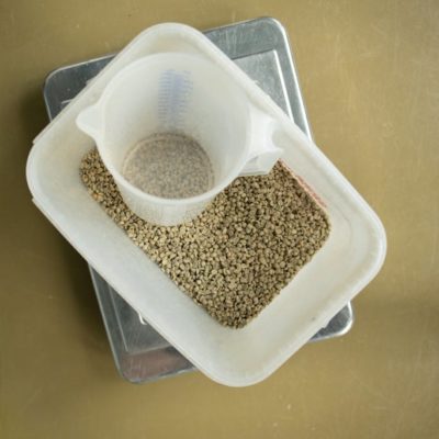 Coffee Beans on White Plastic Container